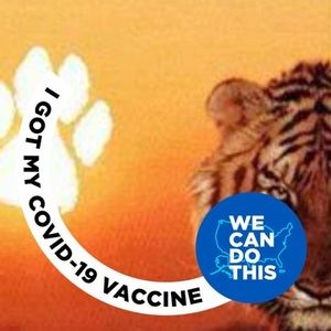 Meet your Posher, Ella